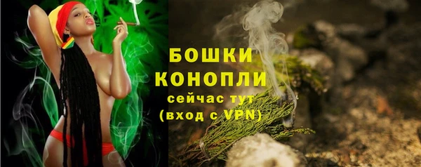 гидра Новозыбков