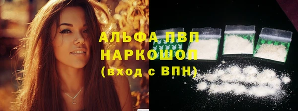 гидра Новозыбков