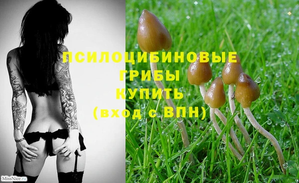 мефедрон мука Новодвинск