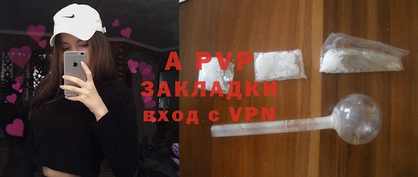 гидра Новозыбков