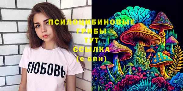 гидра Новозыбков
