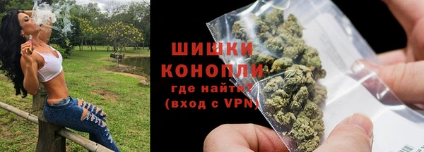 гидра Новозыбков