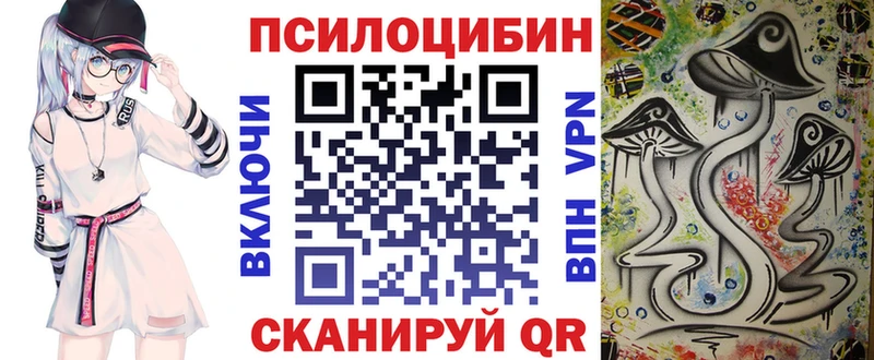 kraken вход Лыткарино Галлюциногенные грибы Psilocybe