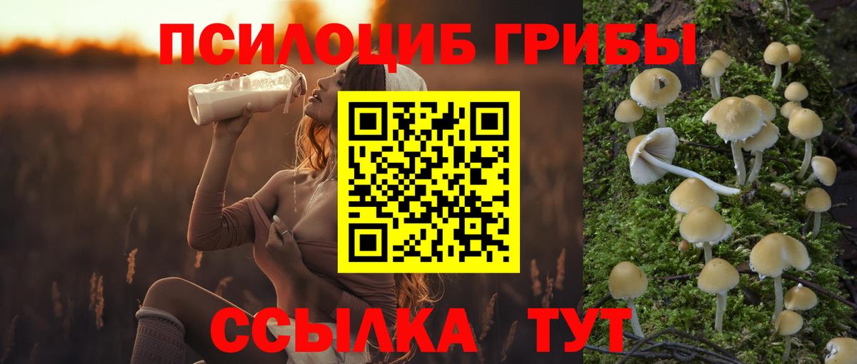 Галлюциногенные грибы мицелий  Лыткарино  Псилоцибиновые грибы MAGIC MUSHROOMS 
